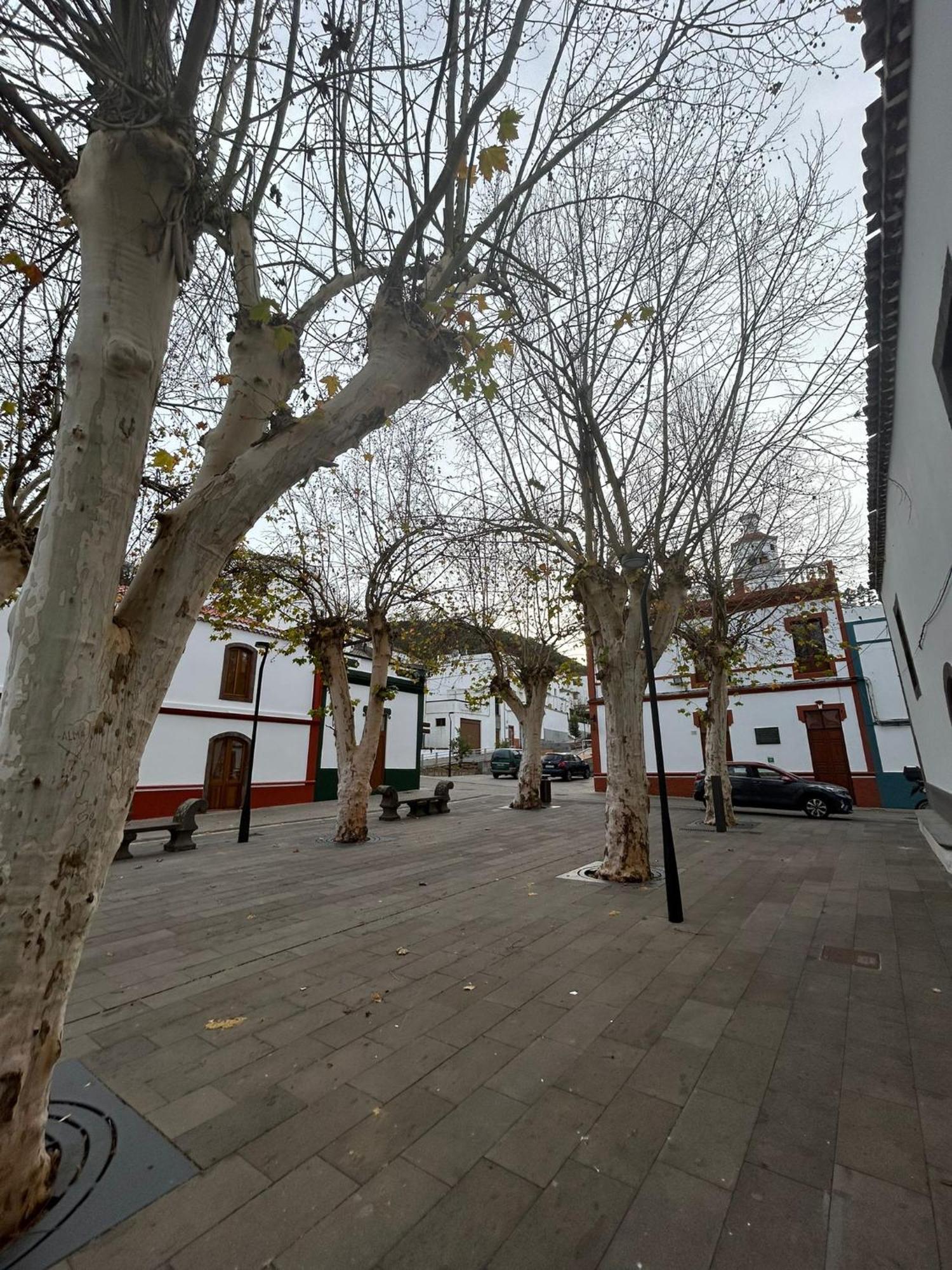 Vivienda Alpa Fontanales Lägenhet Agua de Fontanales Exteriör bild