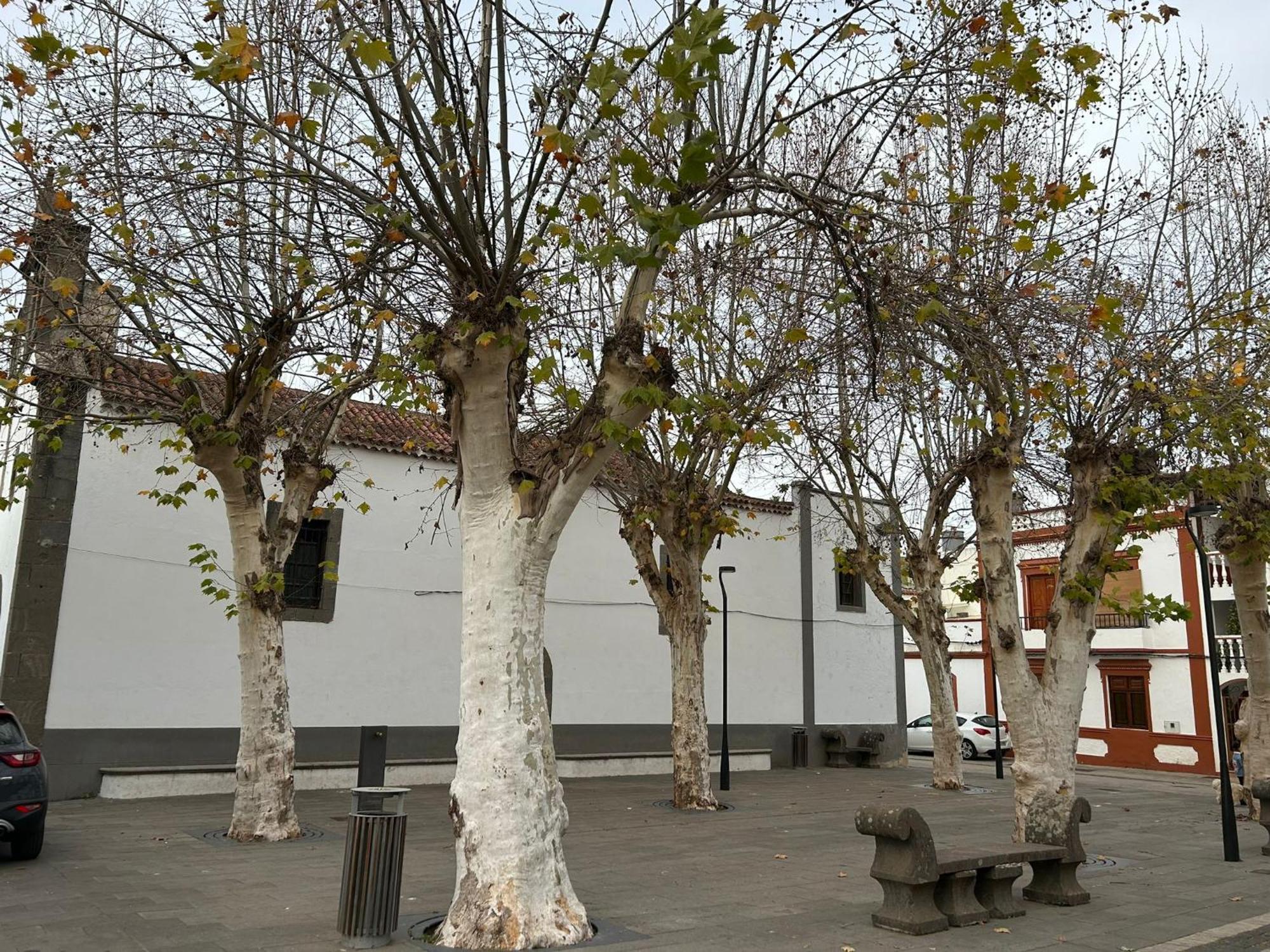 Vivienda Alpa Fontanales Lägenhet Agua de Fontanales Exteriör bild